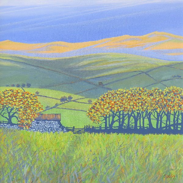 Bright Light on the Moor