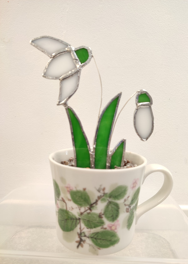 Cup of Snowdrops