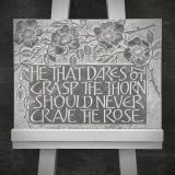 Crave the Rose
